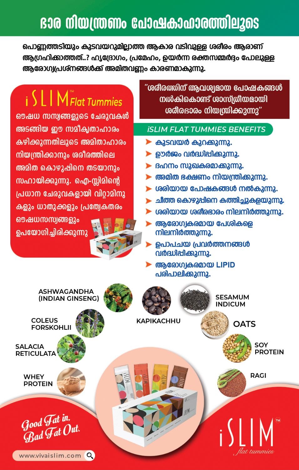 Hamza Kollarthodi The Wellness Advisor